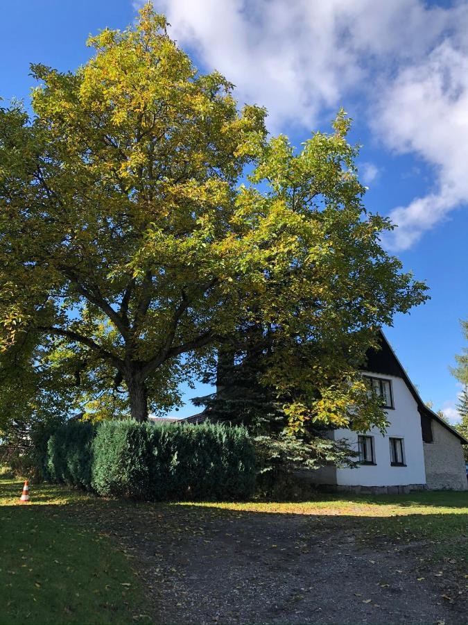 Utulna Chaloupka V Krkonosich Villa Vysoké nad Jizerou Eksteriør billede
